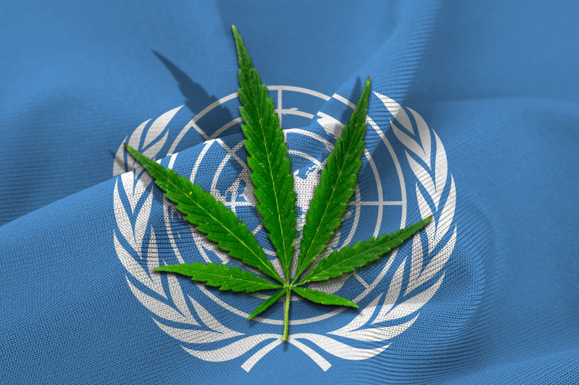 L’UE contesta a Orban anche il voto sulla cannabis all’ONU