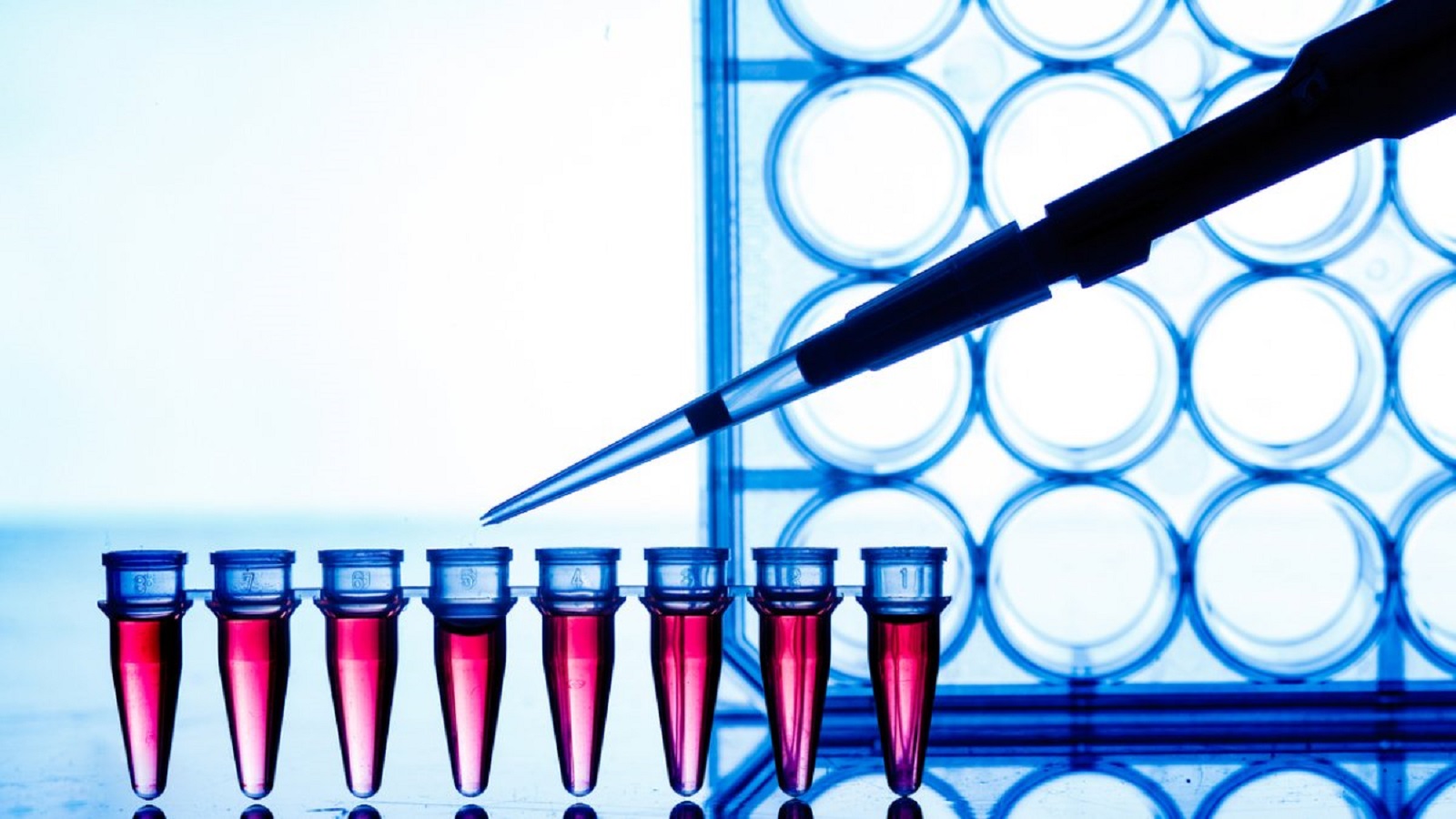 Test PCR, come creare una pandemia dal nulla