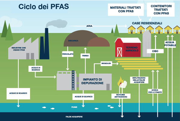 Si è aperto il più grande processo italiano per crimini ambientali