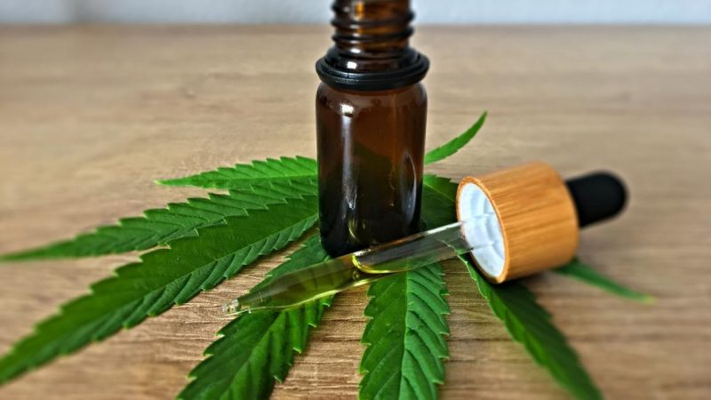 Epilessia: l’estratto di CBD è efficace nei bambini e negli adulti