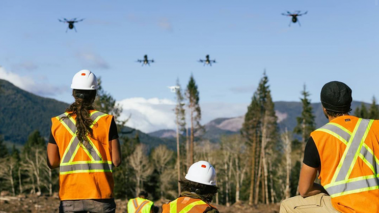 I droni Flash Forest pianteranno 1 miliardo di alberi in soli 8 anni