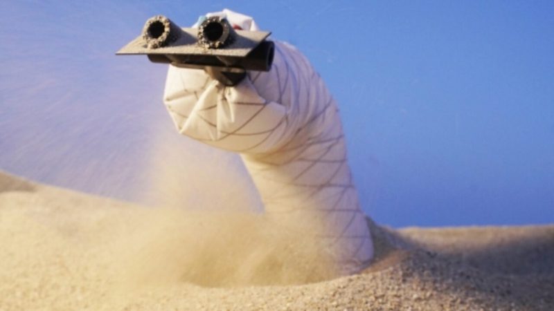 Il robot serpente striscia e si muove sotto la sabbia o nel terreno