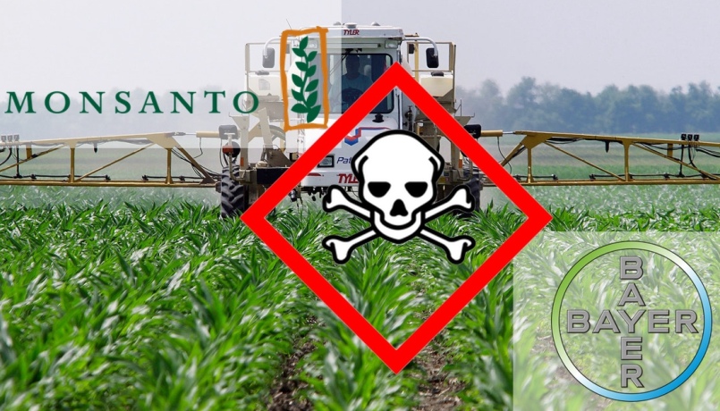 Tumori tra gli agricoltori: la Bayer-Monsanto subisce una nuova sconfitta in tribunale