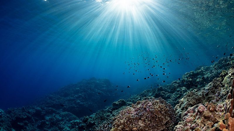 Un paper avverte: gli oceani al collasso devasteranno l’umanità in 25 anni