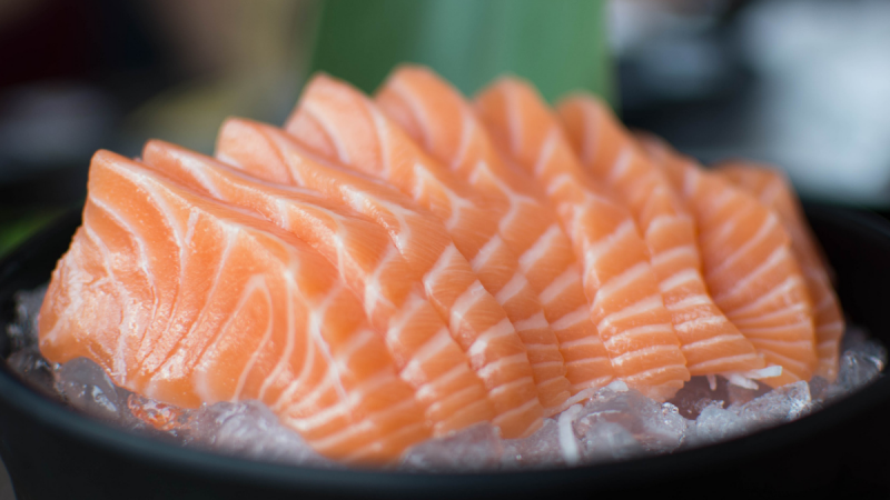 Argentina prima nazione al mondo a vietare l’allevamento del salmone