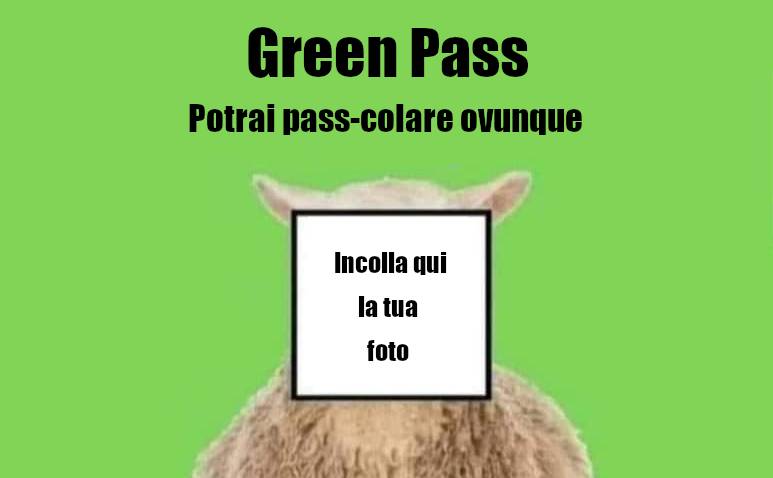 Green Pass: per quanto ancora saremo pecore anziché lupi?
