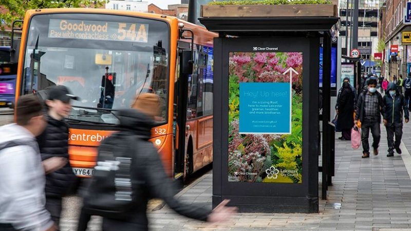 Leicester inventa le fermate di autobus per le api