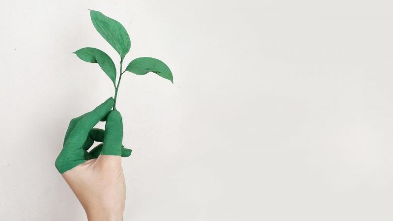 Un’analisi con AI su 800 aziende rileva che il greenwashing sta dilagando