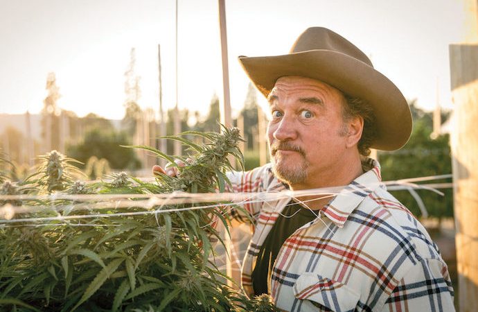Cannabis: The Blues Brothers di nuovo in missione