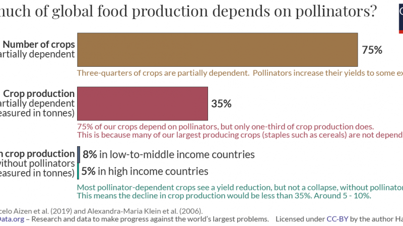 How much of the world’s food production is dependent on pollinators?