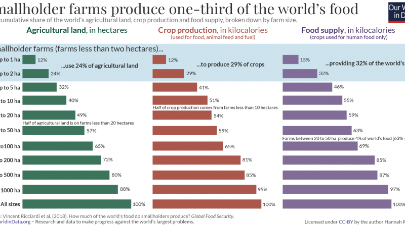 Smallholders produce one-third of the world’s food, less than half of what many headlines claim