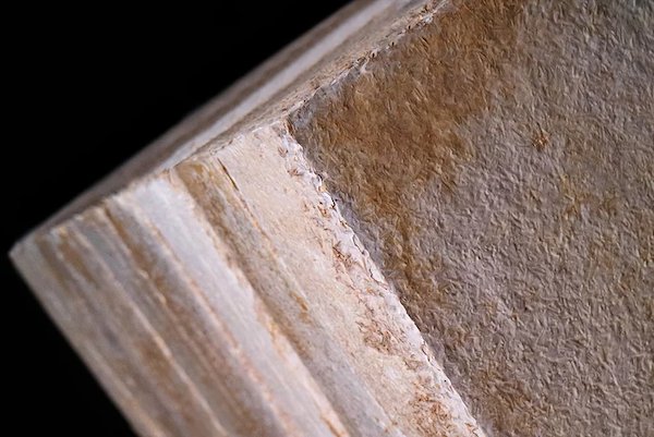 Isolamento abitazioni con funghi? Resistenti, convenienti, a emissioni zero