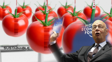 La sinistra agenda alimentare dei Rockefeller — L’hanno creata e ora vogliono distruggerla