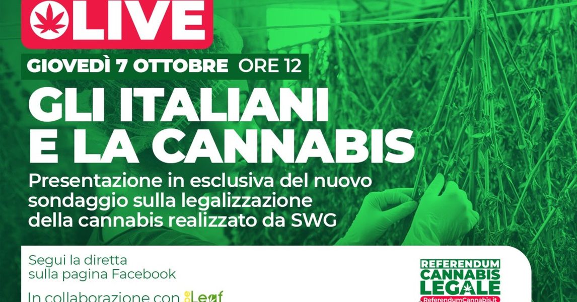 [LIVE] Gli italiani e la cannabis