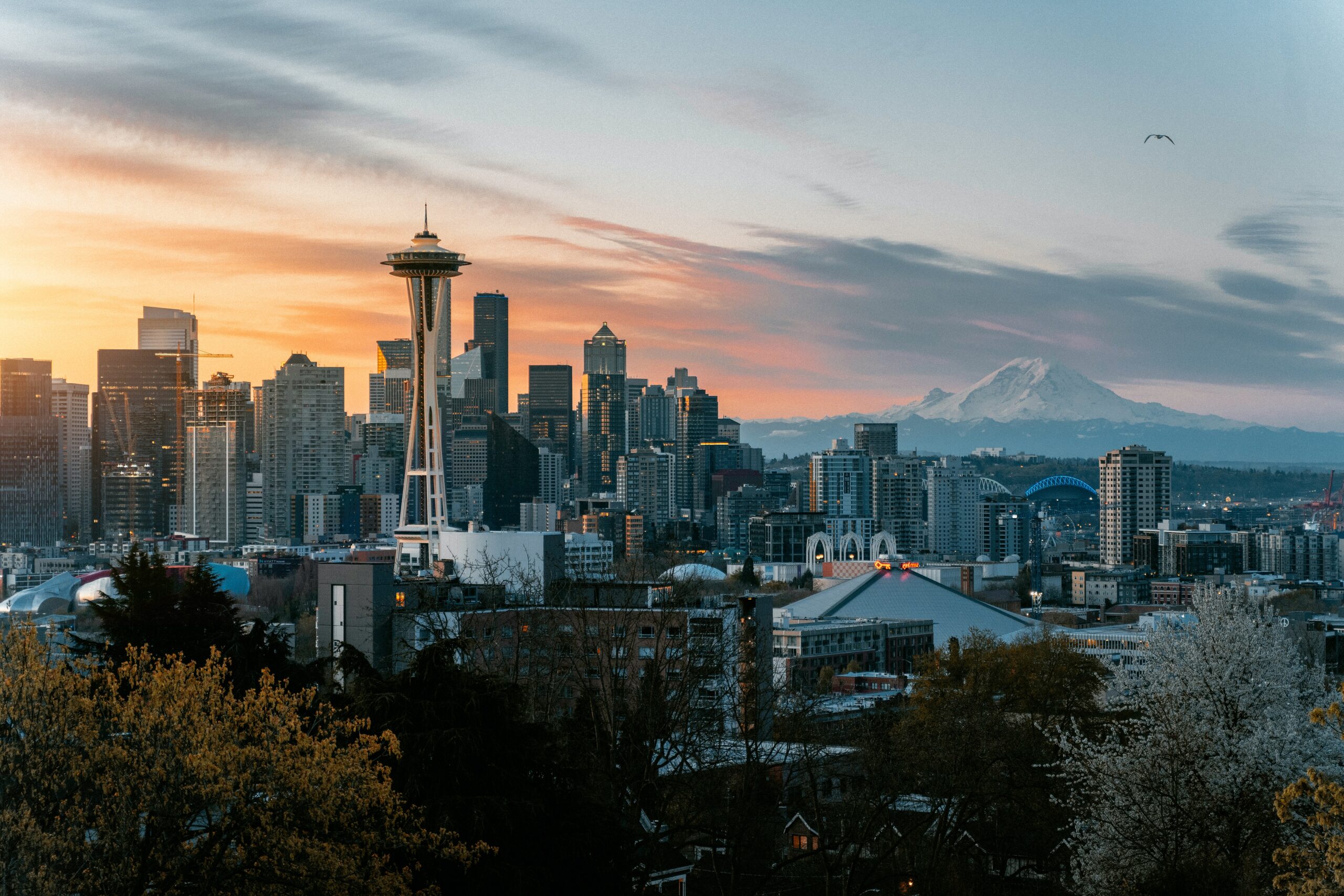 Usa: psichedelici depenalizzati anche a Seattle (e Arcata)