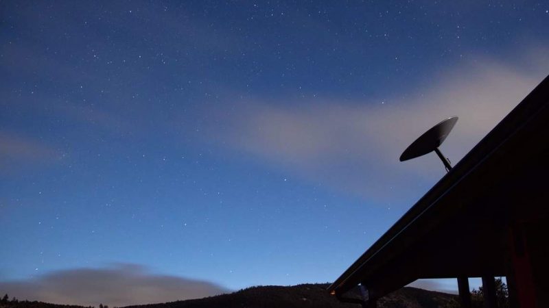 Starlink può monitorare la deforestazione illegale nella foresta amazzonica
