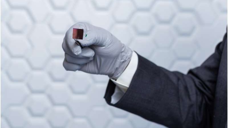 Un nanochip di silicio può riprogrammare i tessuti in un corpo vivo
