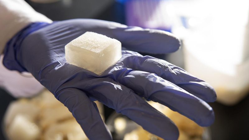 I “cubetti di ghiaccio” gel riutilizzabili non si sciolgono mai