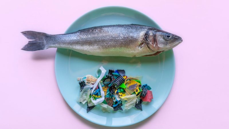Microplastiche nell’aria, studio allarmante: provocano la morte cellulare