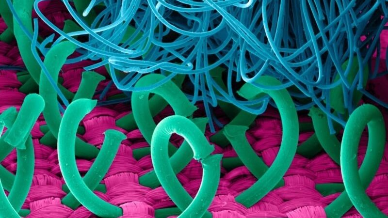 Un team italiano si ispira alle erbacce per creare un velcro biodegradabile