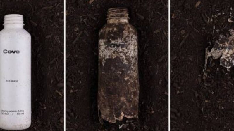 The Bottle, prima bottiglia d’acqua totalmente biodegradabile al mondo