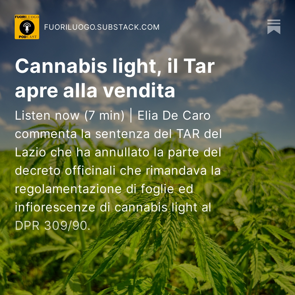 Ep. 15 | Cannabis light, il Tar apre alla vendita