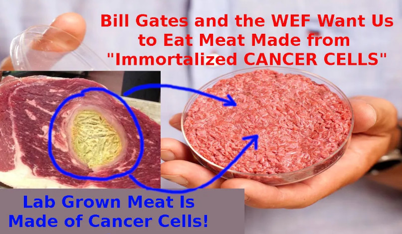 La carne cresciuta in laboratorio è fatta di cellule cancerogene. La preferite al sangue o ben cotta?