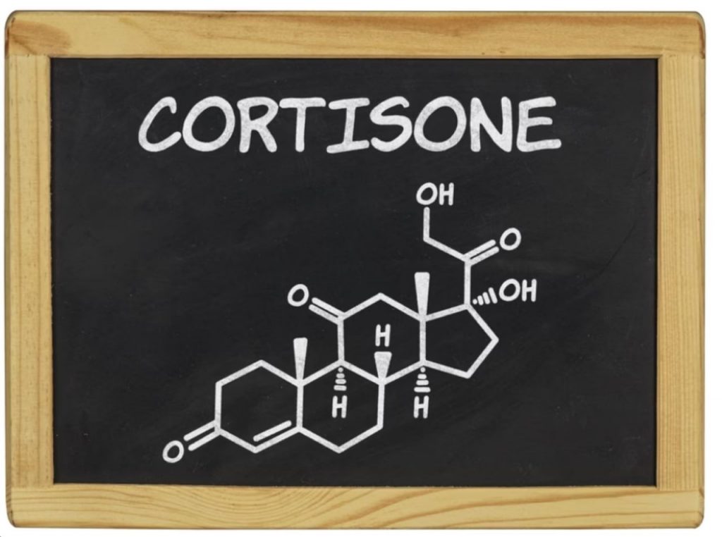 Cortisone: gli effetti deleteri sul corpo e sulla psiche