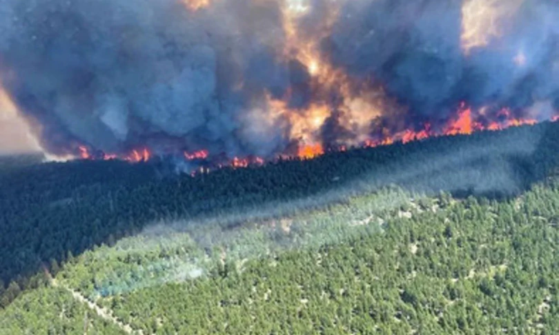 Gli incendi in Canada: è la politica, non il clima