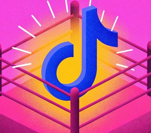 Clamoroso: contro la chiusura, Perplexity offre fusione a TikTok